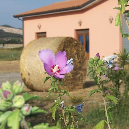 Agriturismo La Nocciolina Venturina Terme Dış mekan fotoğraf