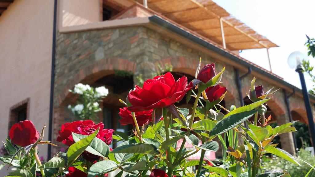 Agriturismo La Nocciolina Venturina Terme Dış mekan fotoğraf
