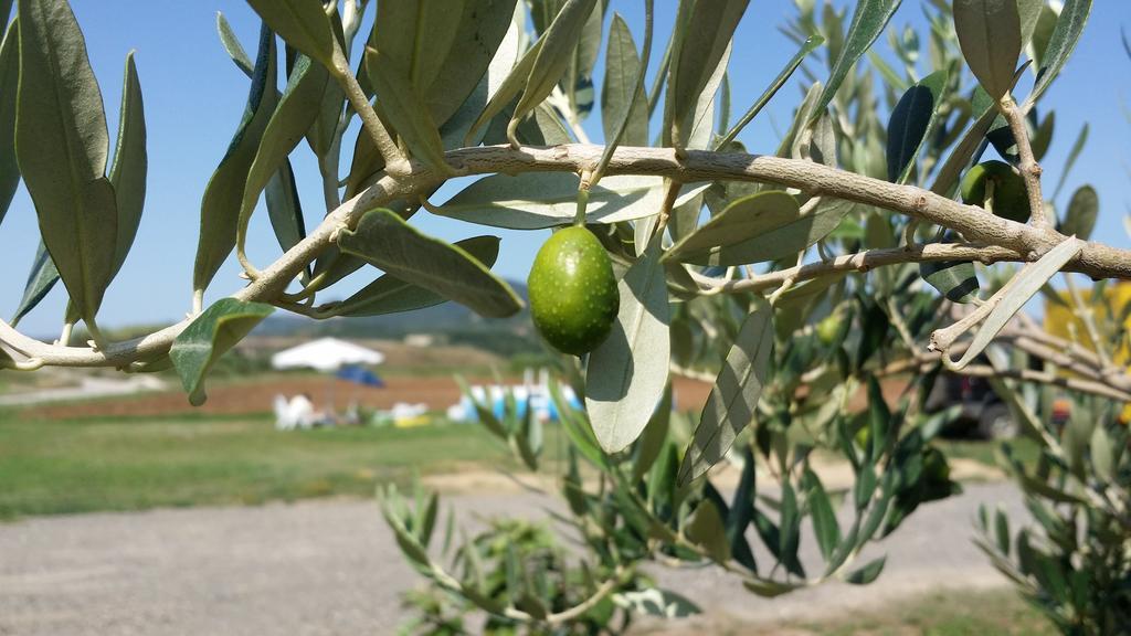Agriturismo La Nocciolina Venturina Terme Dış mekan fotoğraf