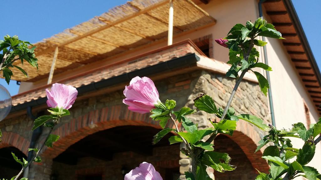 Agriturismo La Nocciolina Venturina Terme Dış mekan fotoğraf