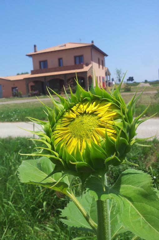 Agriturismo La Nocciolina Venturina Terme Dış mekan fotoğraf
