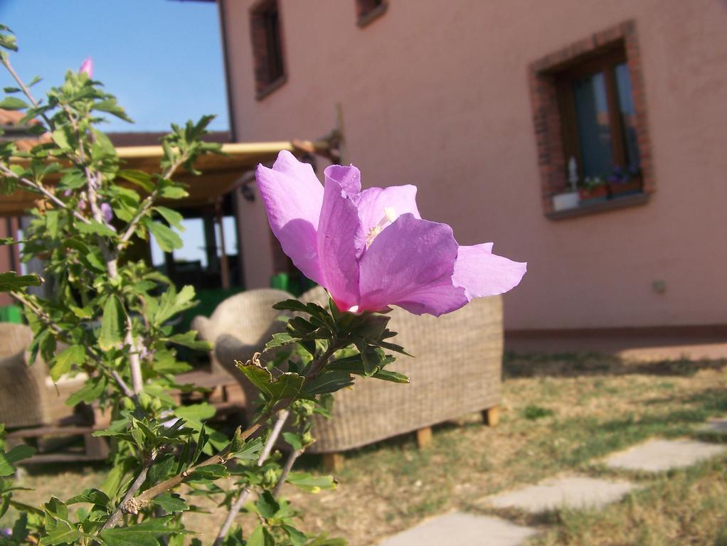 Agriturismo La Nocciolina Venturina Terme Dış mekan fotoğraf