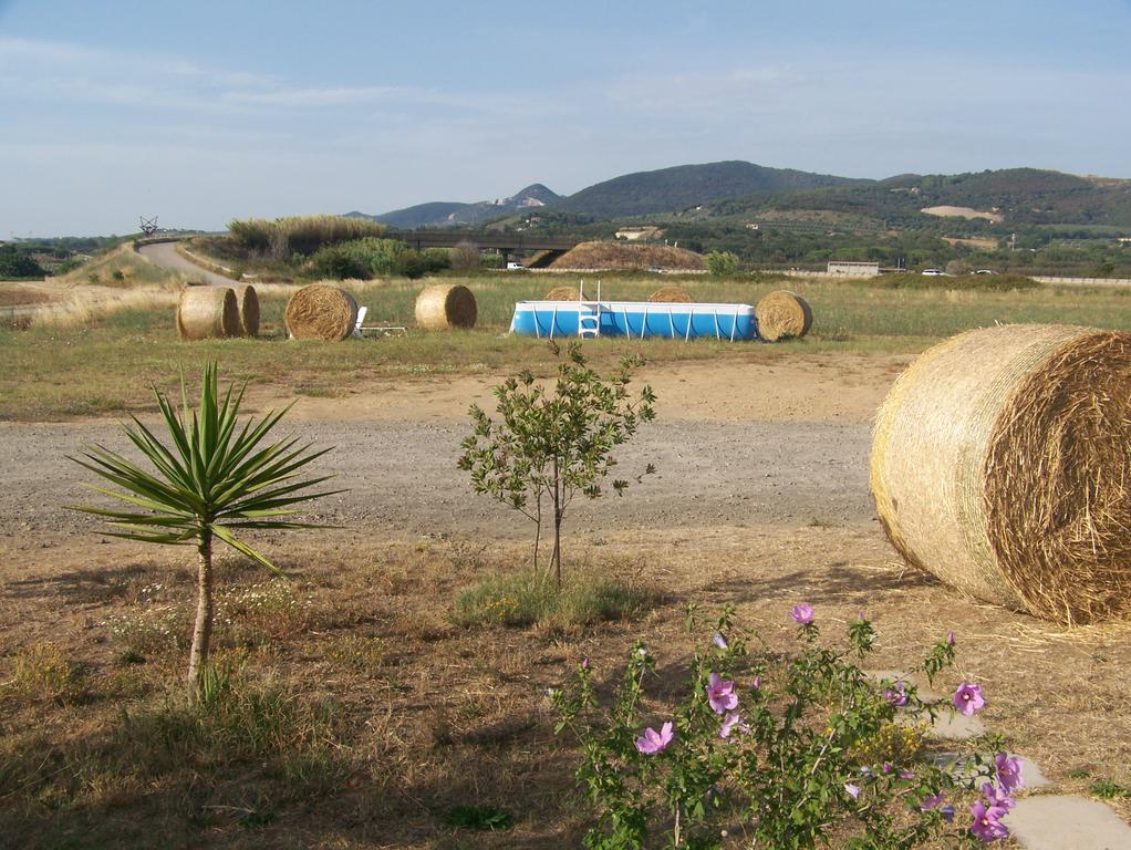 Agriturismo La Nocciolina Venturina Terme Dış mekan fotoğraf